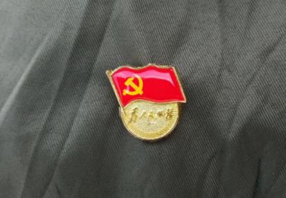 不是党员可以佩戴党徽吗