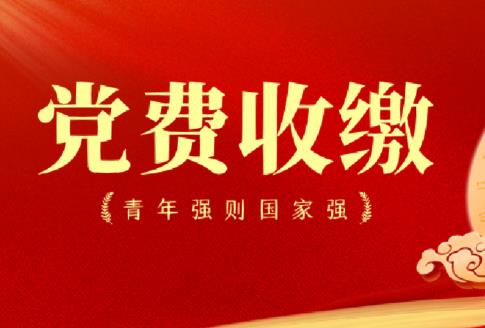 党费收缴使用管理规定2025最新