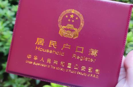 两个户口注销最新政策2025