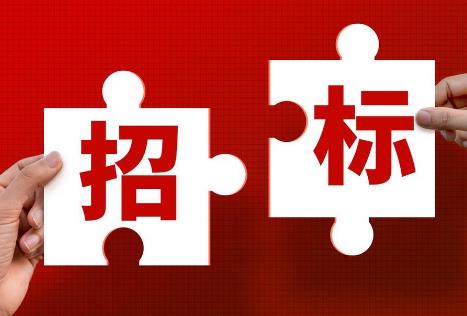 中华人民共和国招标投标法释义：第三十七条