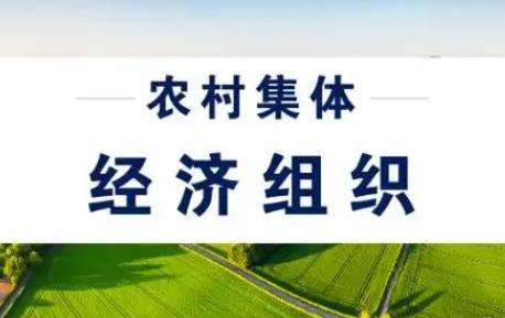 农村集体经济组织法