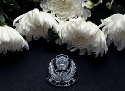 因公殉职赔偿标准2025规定