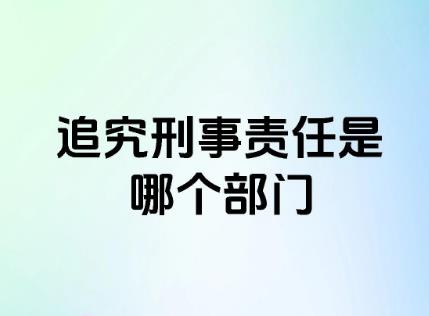 2025年公安机关人民警察执法过错责任追究规定