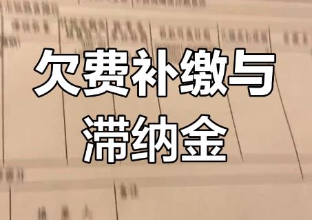 滞纳金的法律规定一般是多少?