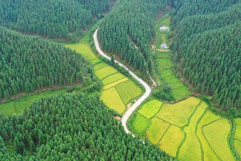 2025年国家储备林建设管理办法最新