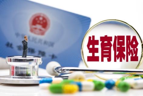 男职工生育险报销标准2025年