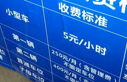 小区停车费收费标准由谁规定2025年