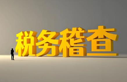 税务稽查案件