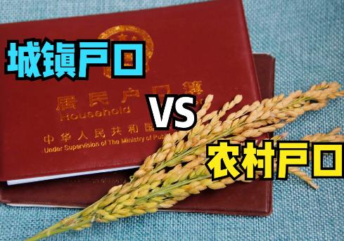 2025年转回农村户口新政策