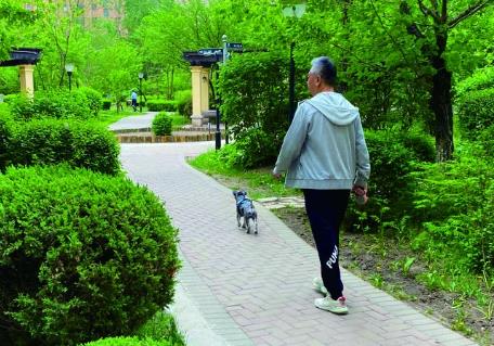 2025年北海市养犬管理条例最新