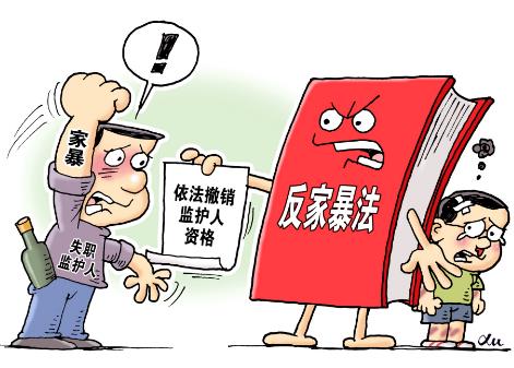 河南省反家庭暴力条例
