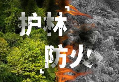 2025年黑龙江省森林防火条例最新