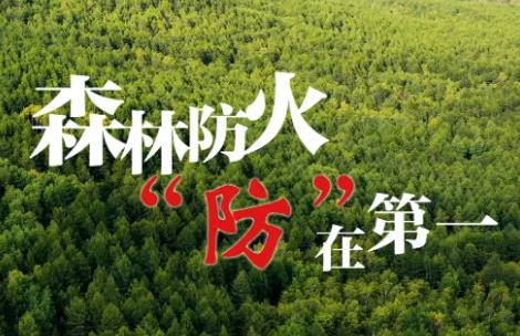 河南省森林防火条例