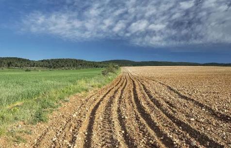 2025年海南省土地储备整理管理暂行办法最新