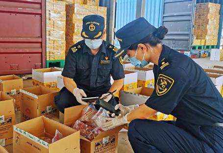 中华人民共和国海关进出口货物申报管理规定2025