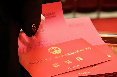 2025年内蒙古自治区各级人民代表大会选举实施细则