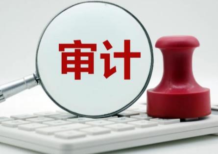 2025年湖北省内部审计条例最新
