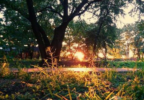 2026年中华人民共和国森林法最新