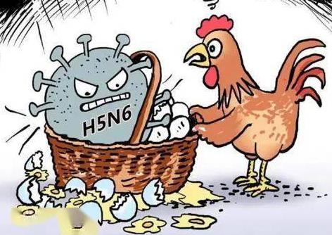 2026年中华人民共和国动物防疫法最新