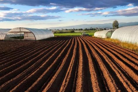 2026年军用土地管理条例最新