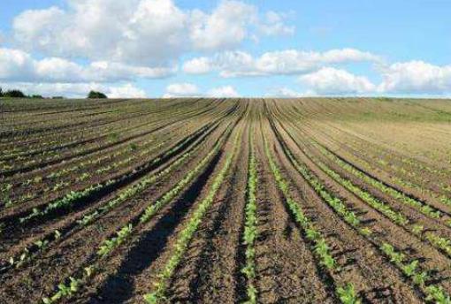 2025年划拨用地目录最新