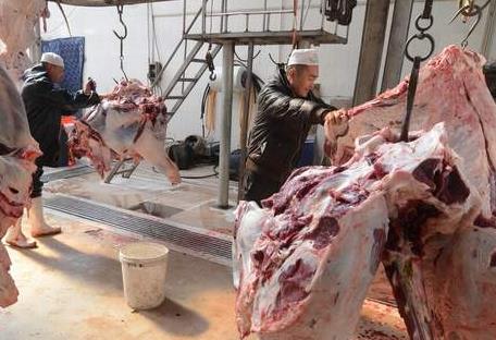 2026年生猪定点屠宰厂(场)设置审查规定最新