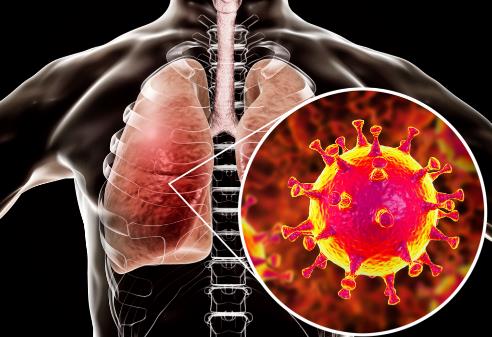 中华人民共和国传染病防治法2026最新