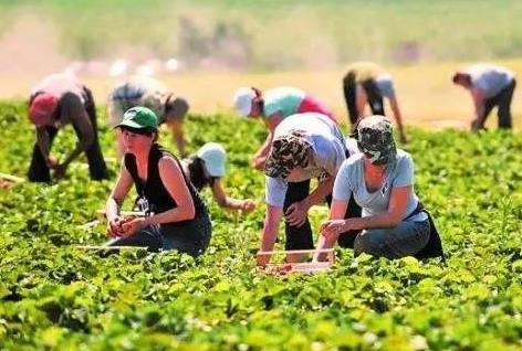 2026年吉林省农民专业合作社条例最新