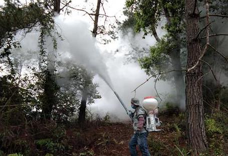 森林病虫害防治条例2026最新