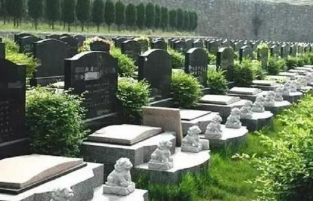公墓管理