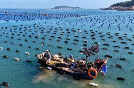 2026年山东省海上牧场条例最新