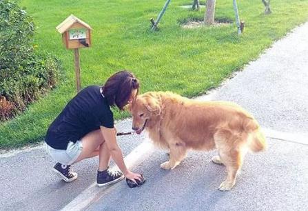 2026年榆林市养犬管理办法最新