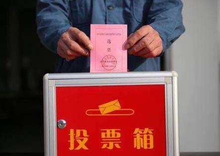 2026年福建省村民委员会选举办法最新