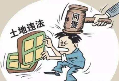 2026年关于办理非法占用耕地案件适用法律若干问题的规定